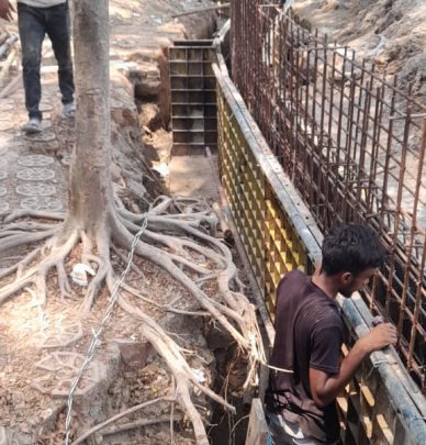 Dhanmondi Lake Development (1)
